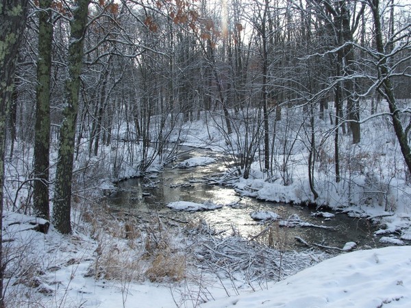 Frozen creek in Wisconsin woods