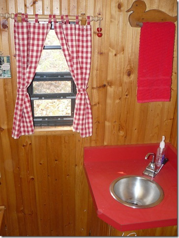 Outhouse small sink next to small window with curtain