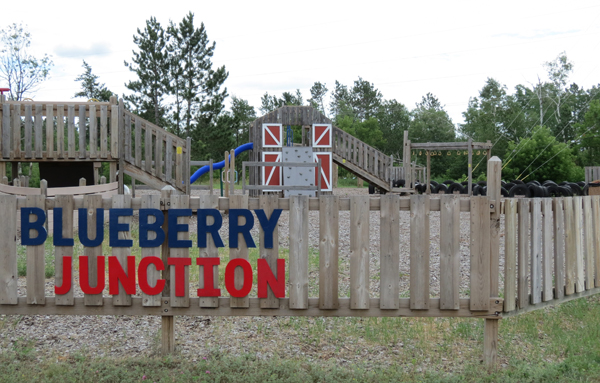 Blueberry Junction