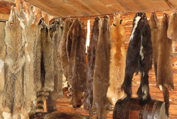 Hang your fur here
