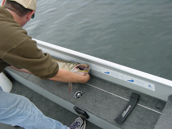 Measure your trophy for future fish stories