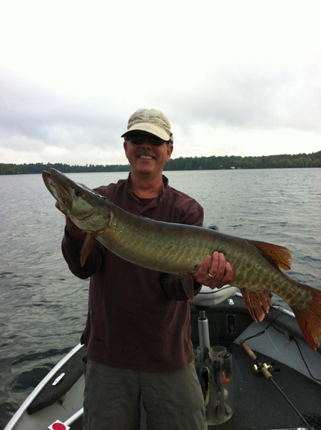 Fall muskies are well fed and fat!