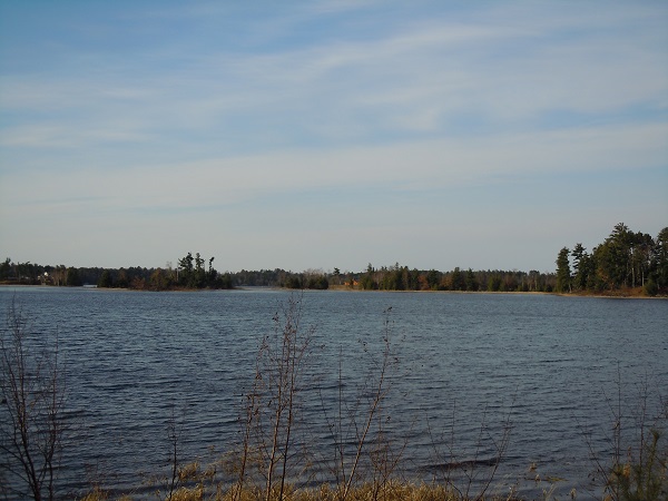 Johnson Lake