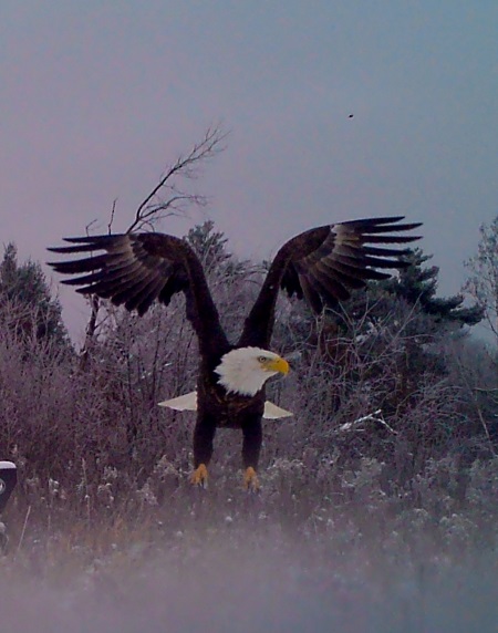 Taken by Dr. John Ingalls near Falun, WI