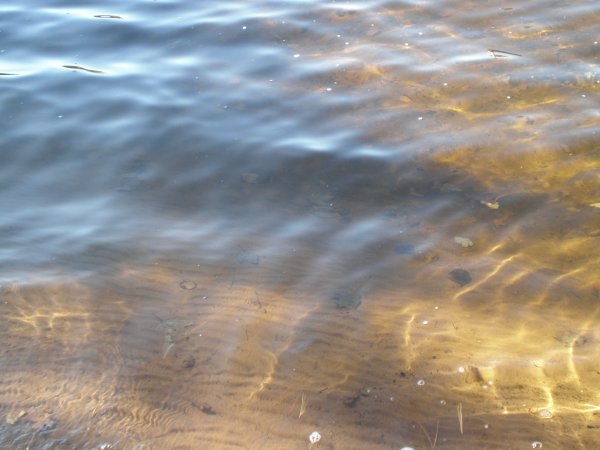 Love Lake water clarity