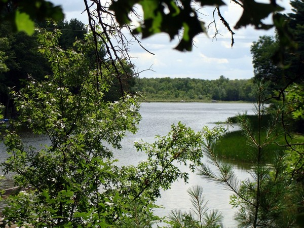 MLS #1517198 Clam River