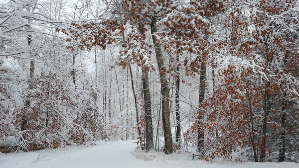 December 2018, three days later.