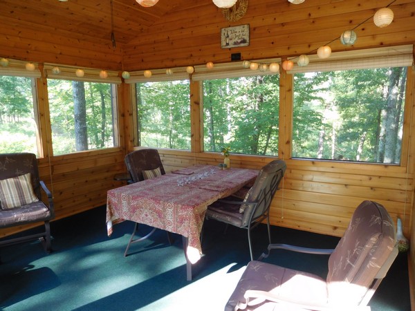 Screen porch with green carpet and Chinese lantern string lights