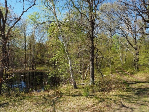 Clam River surrounded by green forest with trail