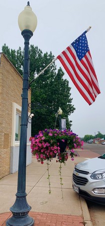 American flag sticking out of a lightpost with pink flowers