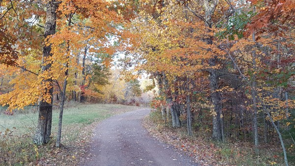 Autumn is Alive!