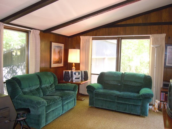 Cleaner living space with green couches