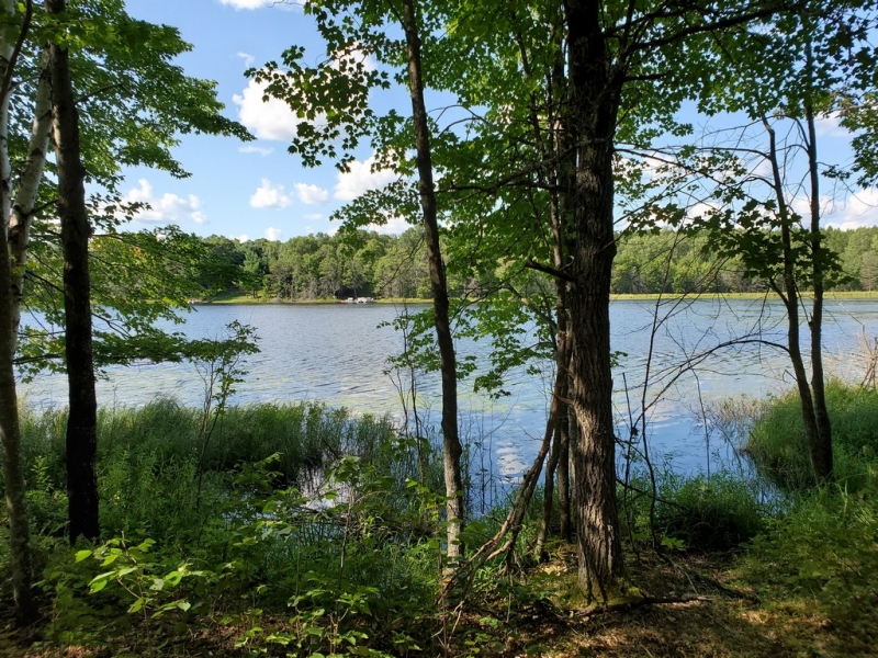 Sold Danbury, WI Lots & Land Co 1507586