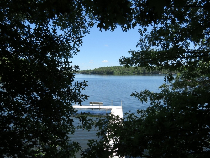 Image 17 of 22