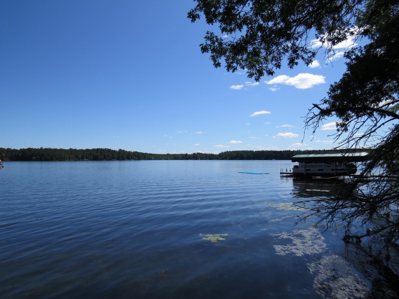 Image 20 of 22