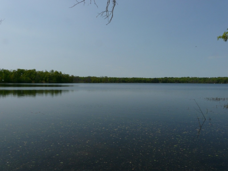 Image 12 of 13