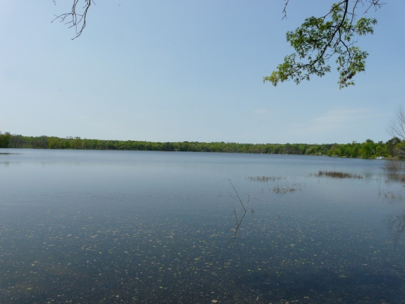 Image 13 of 13