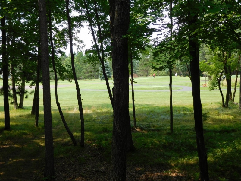 Image 18 of 39