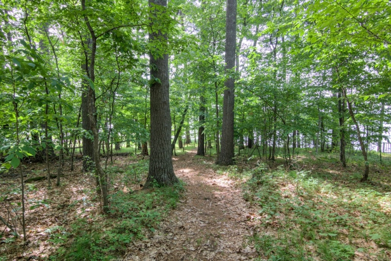 Image 33 of 38