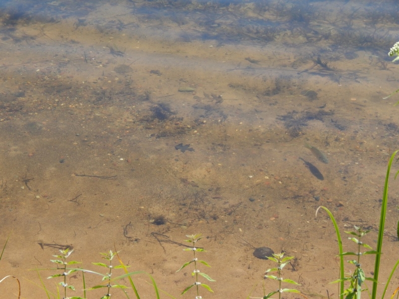 Image 10 of 15