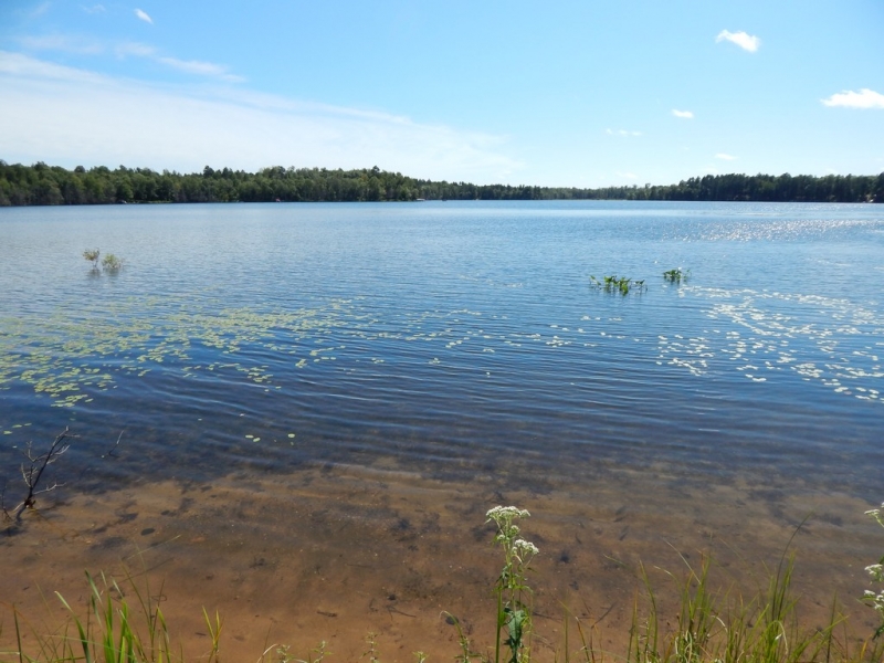 Image 11 of 15