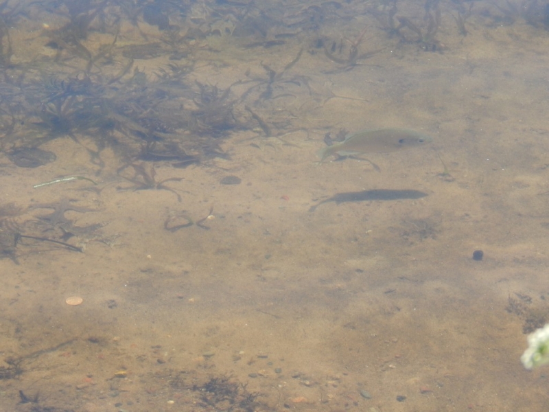 Image 12 of 15