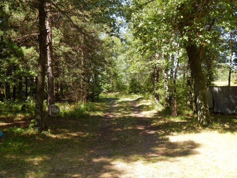 Image 14 of 15