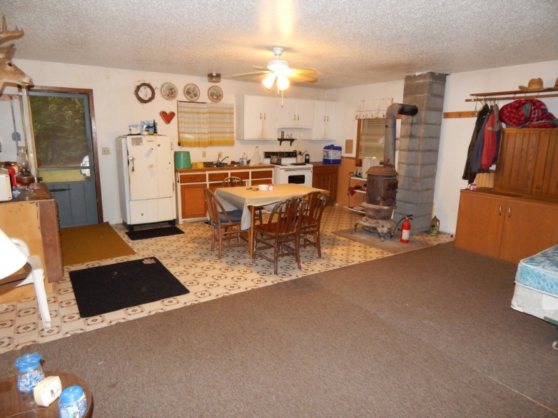 Image 3 of 15