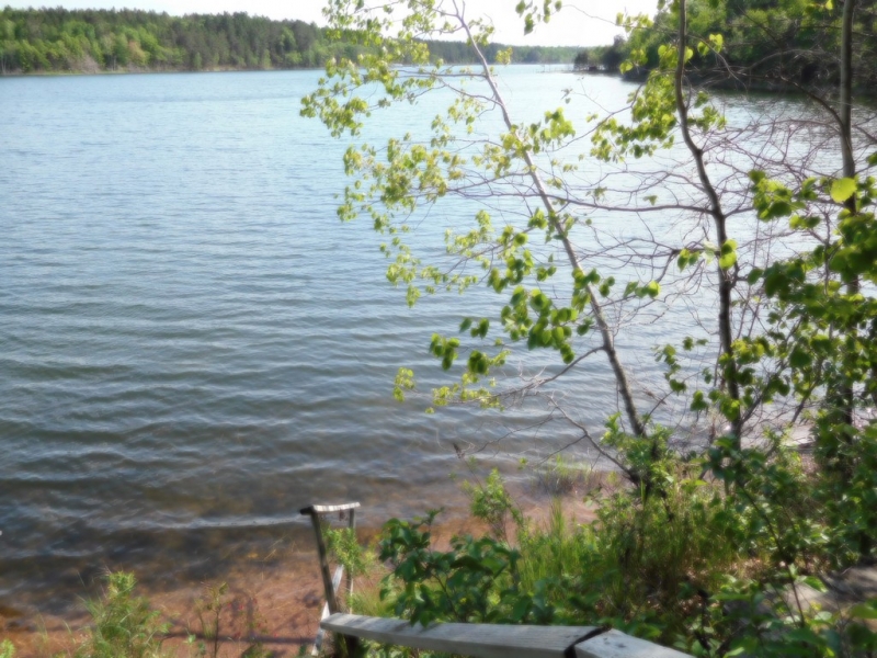 Image 1 of 9