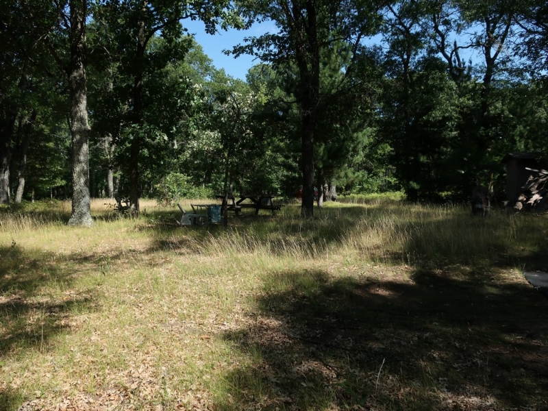 Image 3 of 9