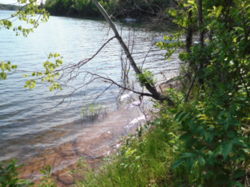 Image 4 of 9
