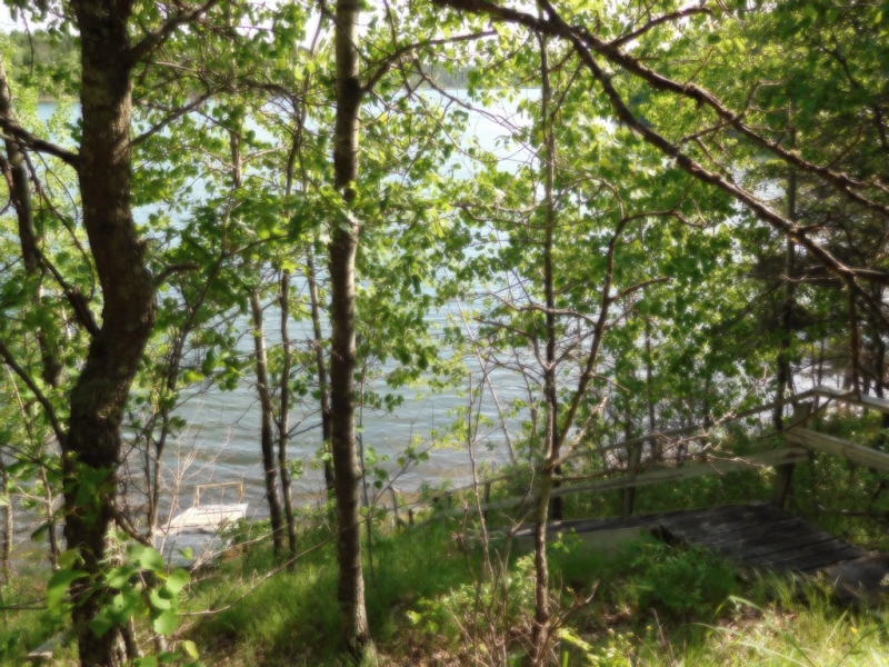 Image 6 of 9