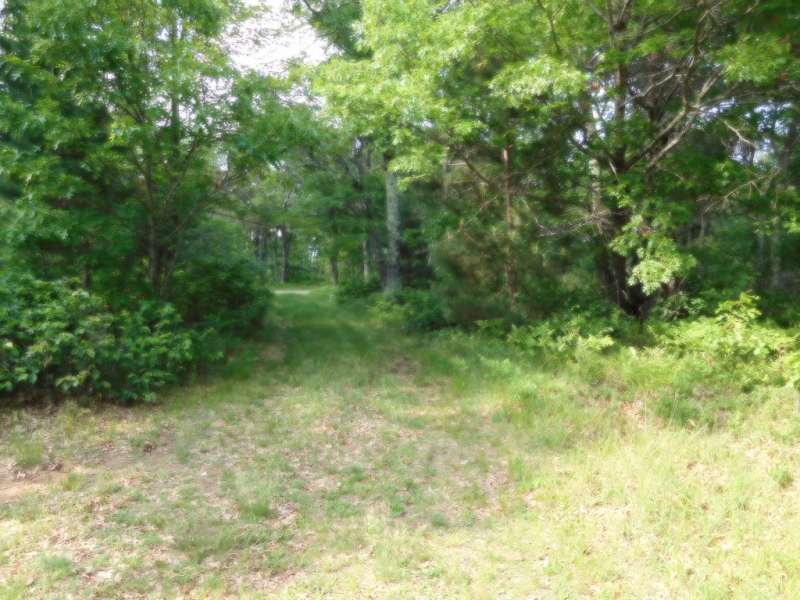 Image 8 of 9