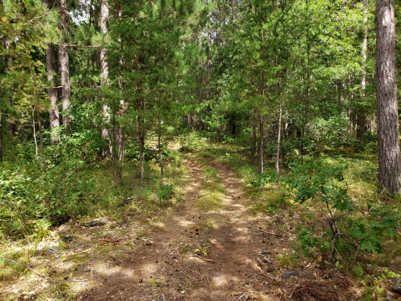 Image 2 of 12