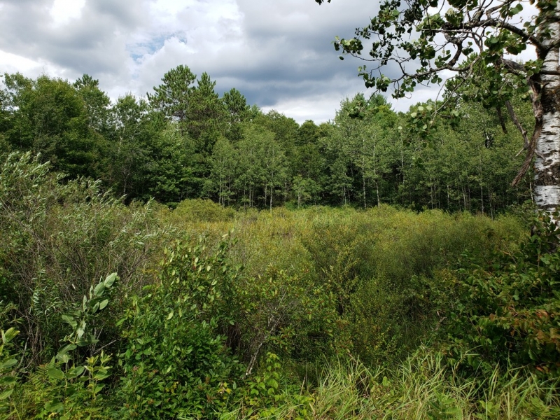Image 9 of 12