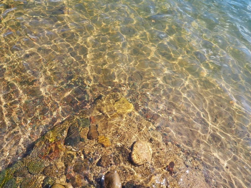 Image 10 of 26