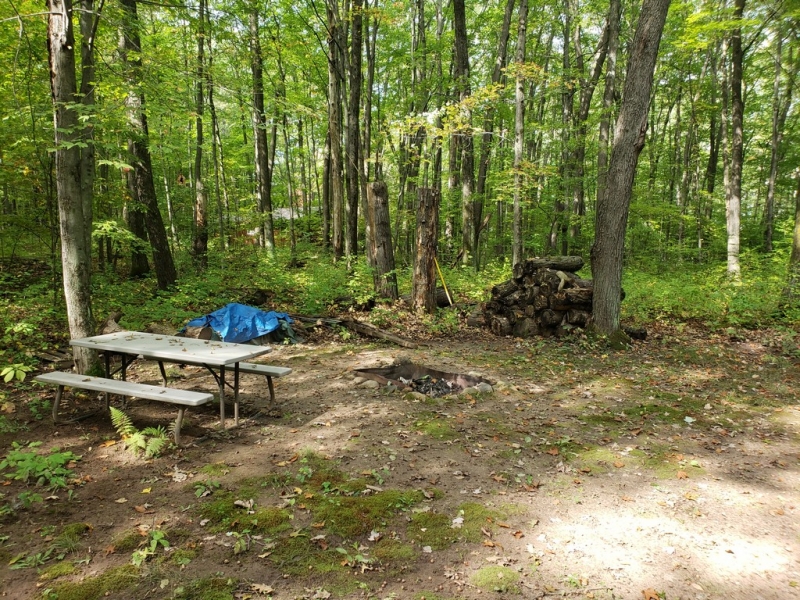 Image 18 of 19