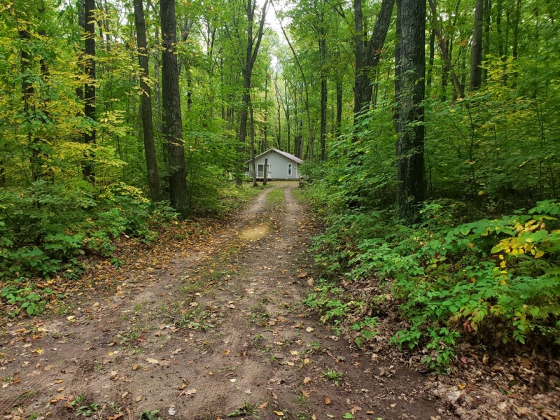 Image 19 of 19