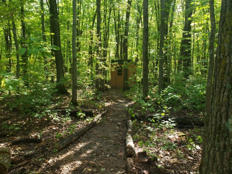 Image 10 of 14