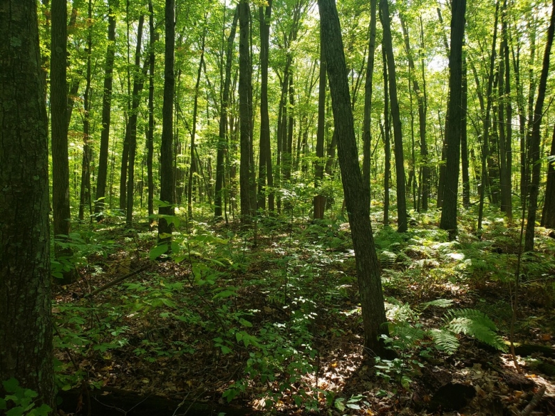 Image 12 of 14