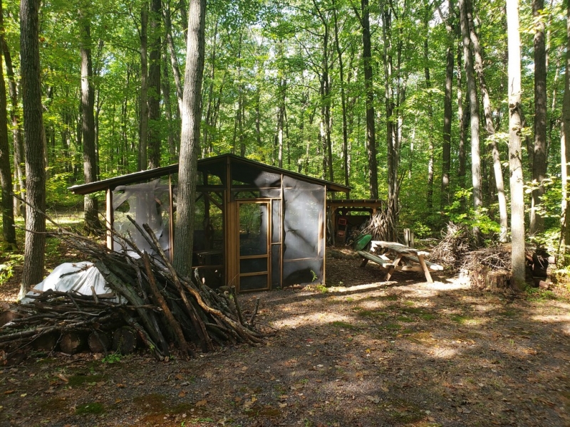 Image 7 of 14
