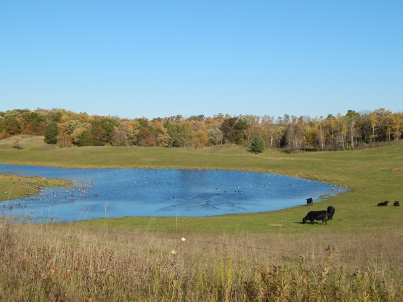 Image 10 of 13