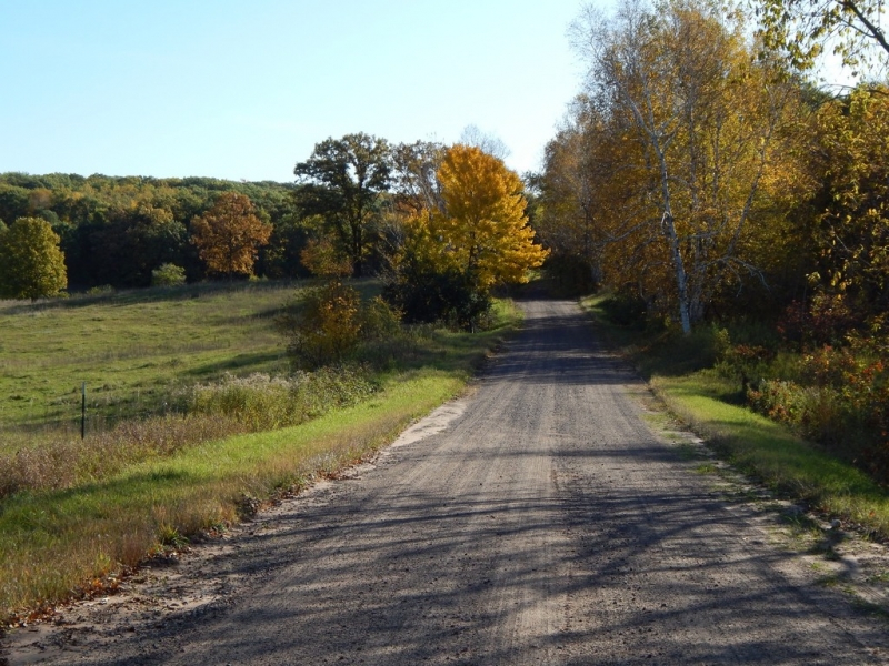 Image 13 of 13