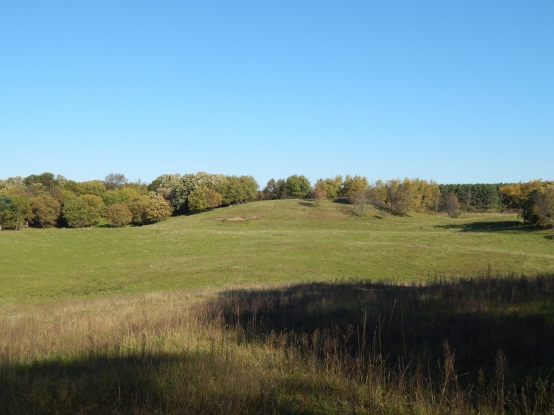 Image 3 of 13