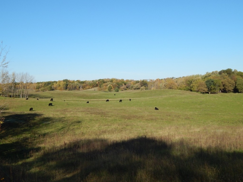 Image 4 of 13