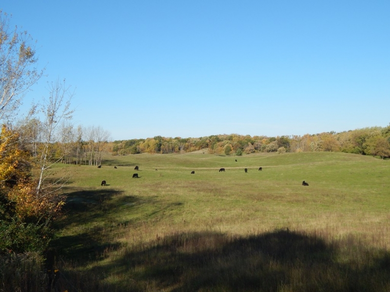 Image 5 of 13