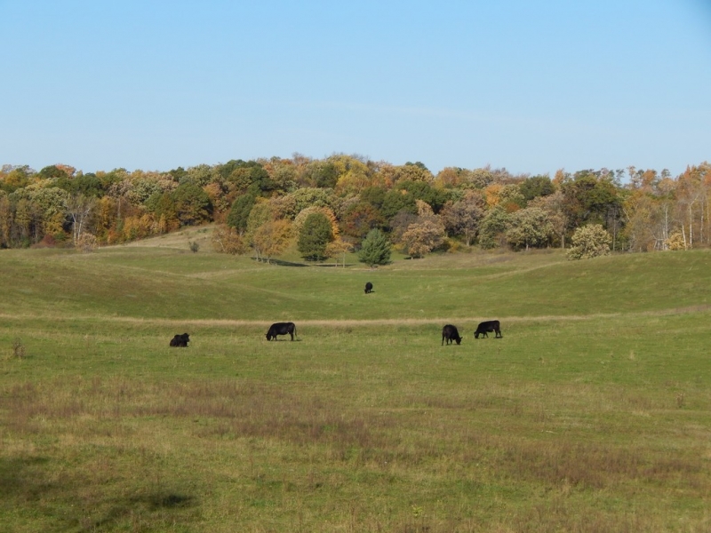Image 8 of 13