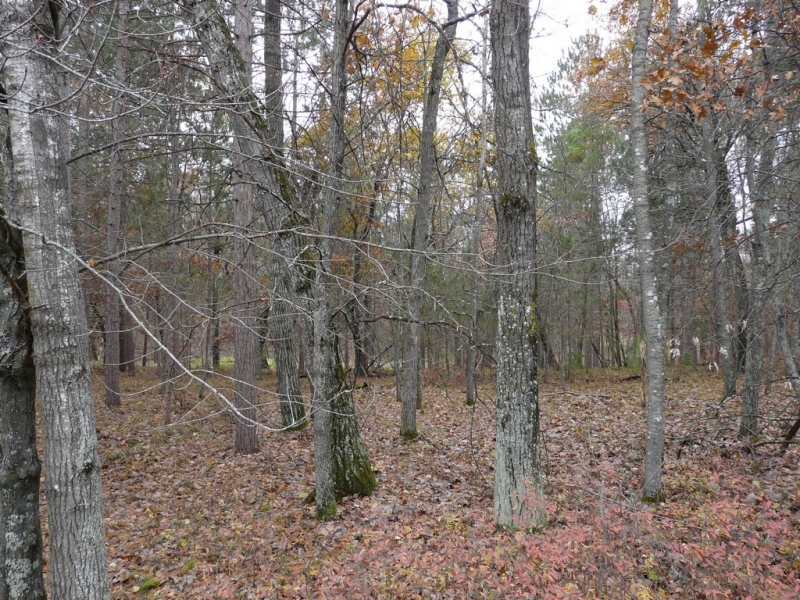 Image 2 of 6
