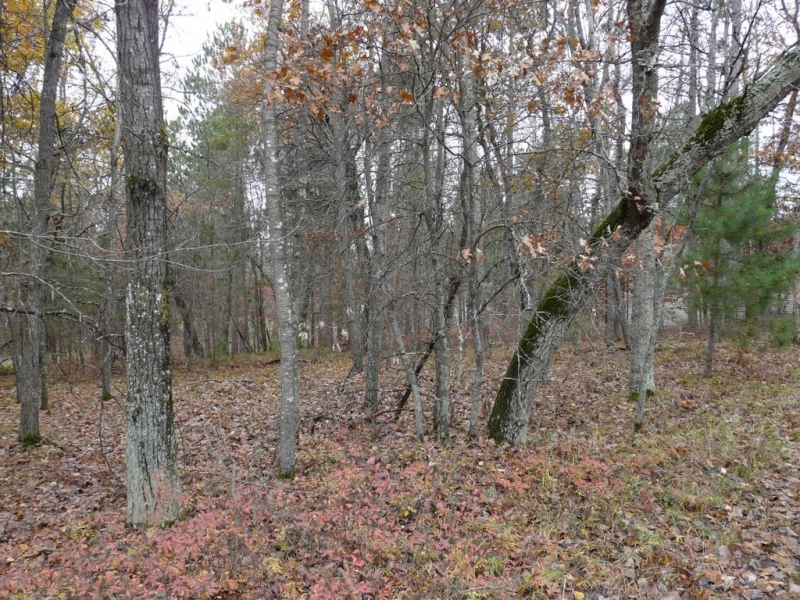 Image 3 of 6