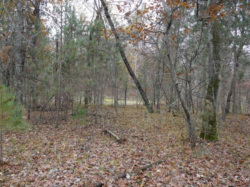 Image 4 of 6